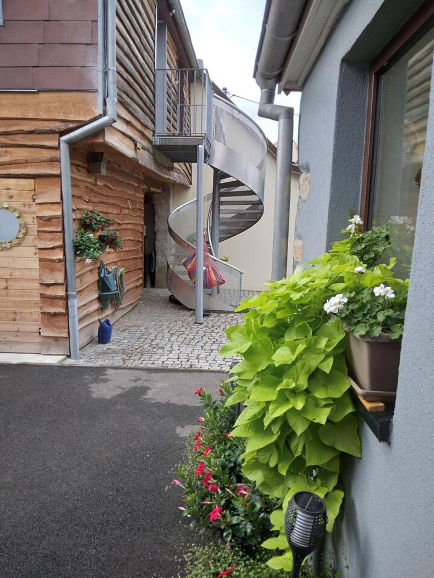 Appartement Cosy Wintzenheim + Terrasse Exterior foto