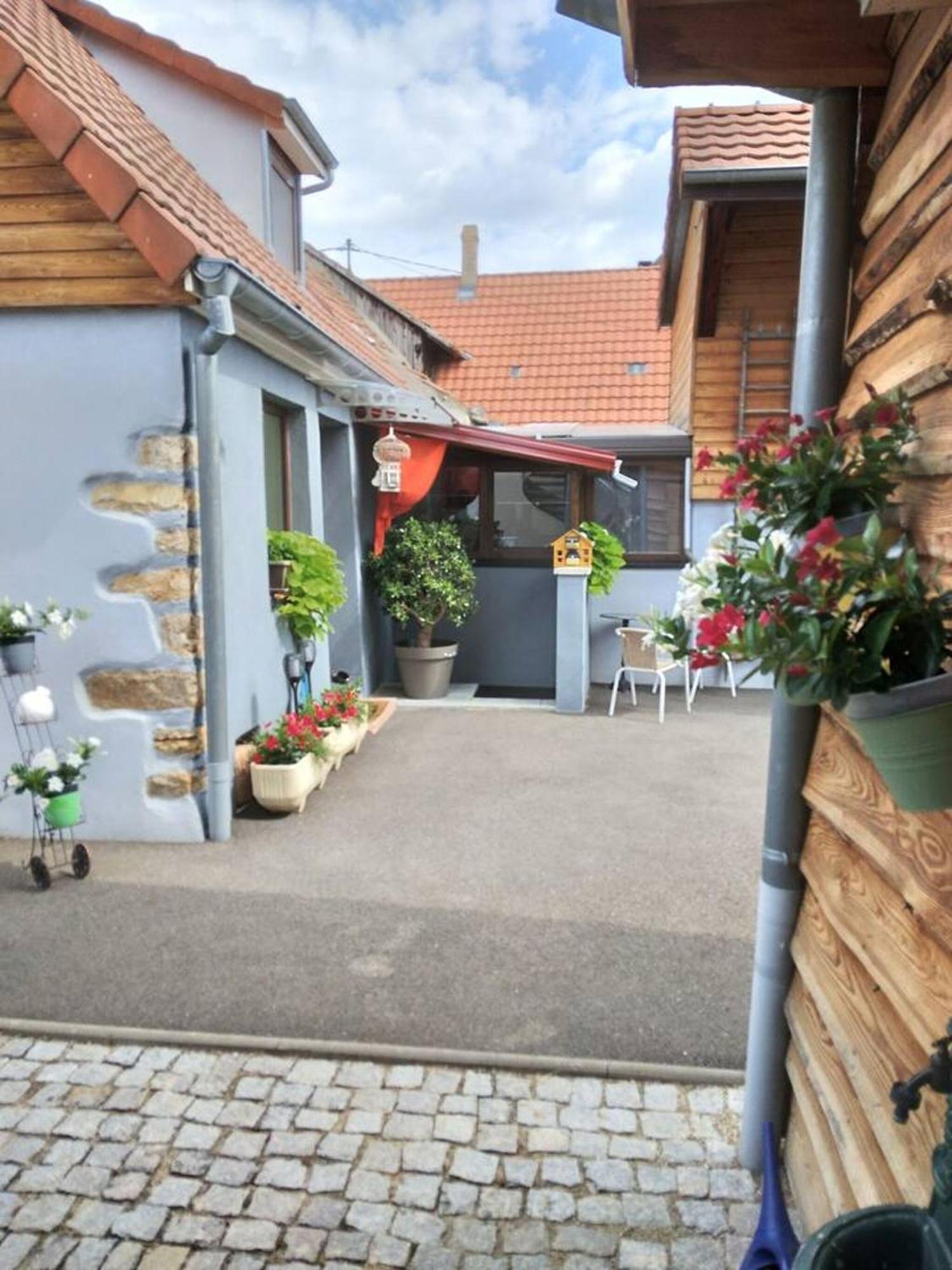 Appartement Cosy Wintzenheim + Terrasse Exterior foto