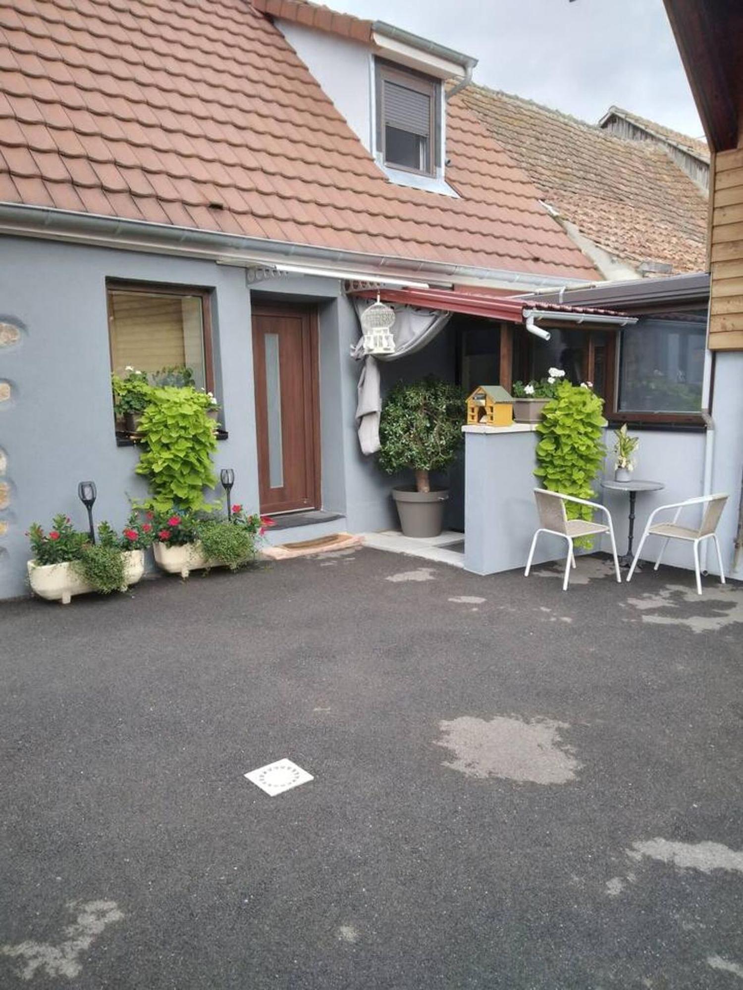 Appartement Cosy Wintzenheim + Terrasse Exterior foto